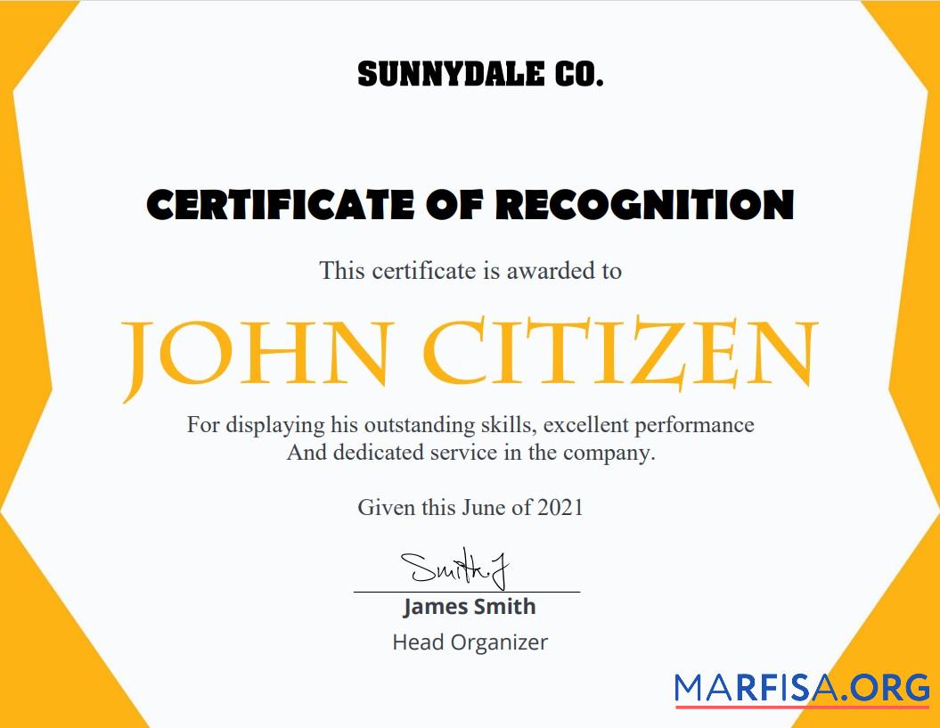 Blank USA Recognition Certificate example